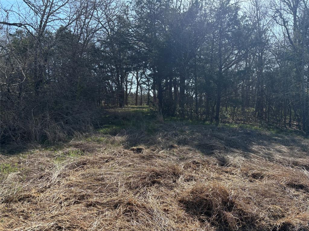 G-1241 TOBY THOMAS A- G1241 - Land