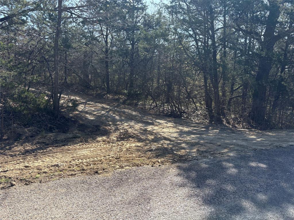 G-1241 TOBY THOMAS A- G1241 - Land