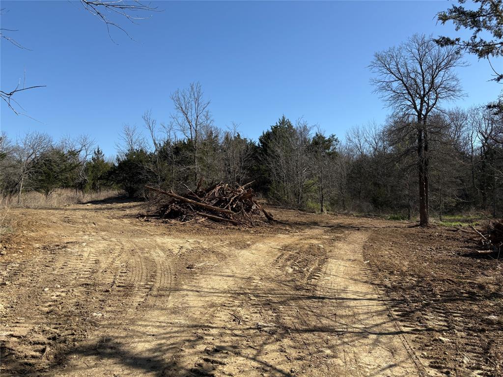 G-1241 TOBY THOMAS A- G1241 - Land