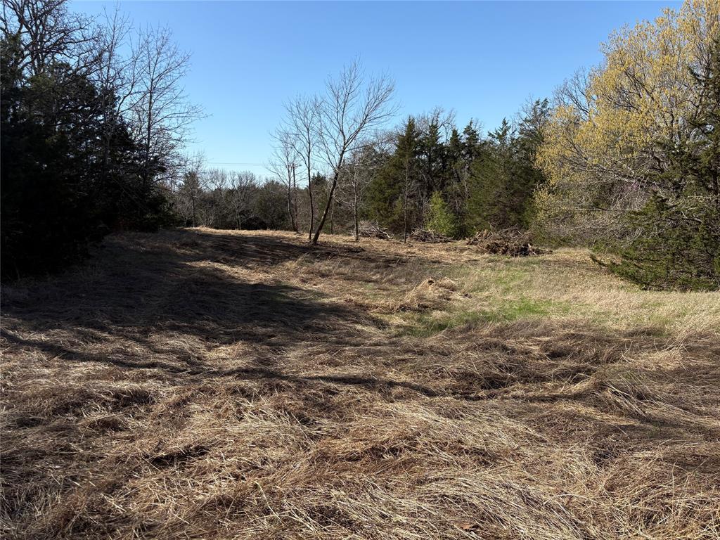 G-1241 TOBY THOMAS A- G1241 - Land