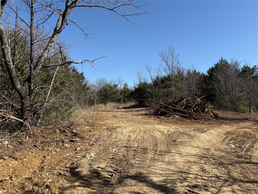 G-1241 TOBY THOMAS A- G1241 - Land