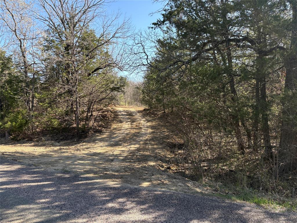 G-1241 TOBY THOMAS A- G1241 - Land