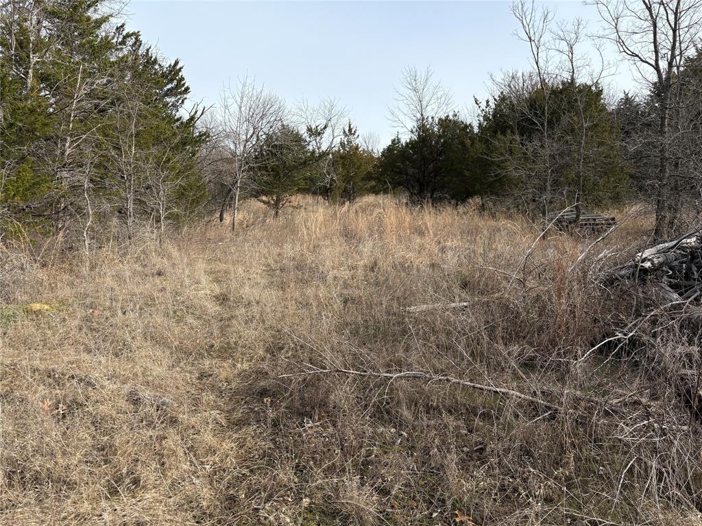 G-1241 TOBY THOMAS A- G1241 - Land