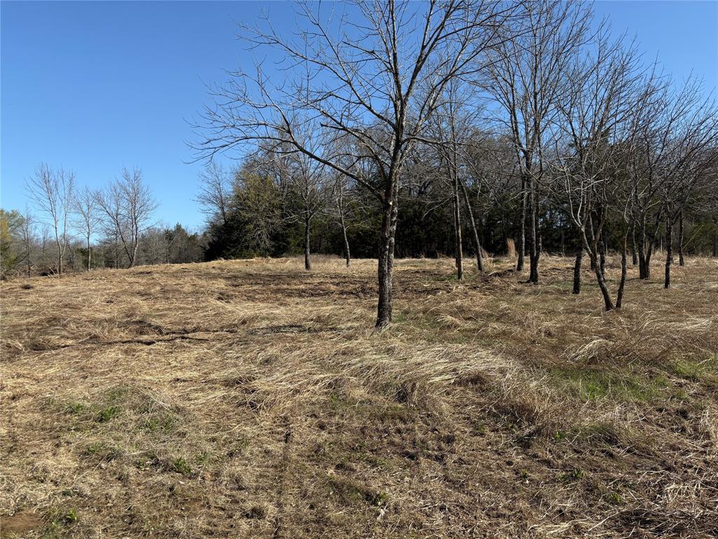 G-1241 TOBY THOMAS A- G1241 - Land