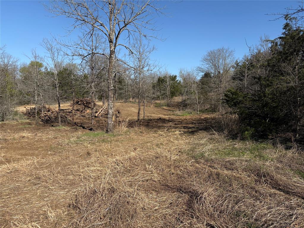 G-1241 TOBY THOMAS A- G1241 - Land