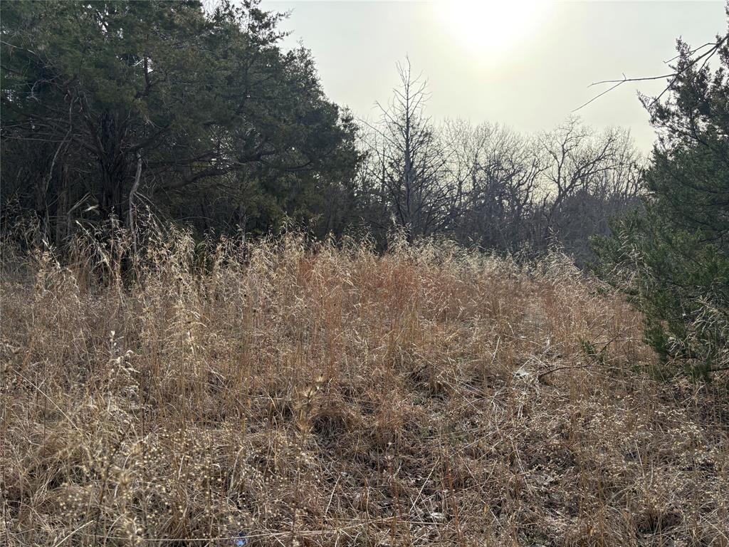 G-1241 TOBY THOMAS A- G1241 - Land