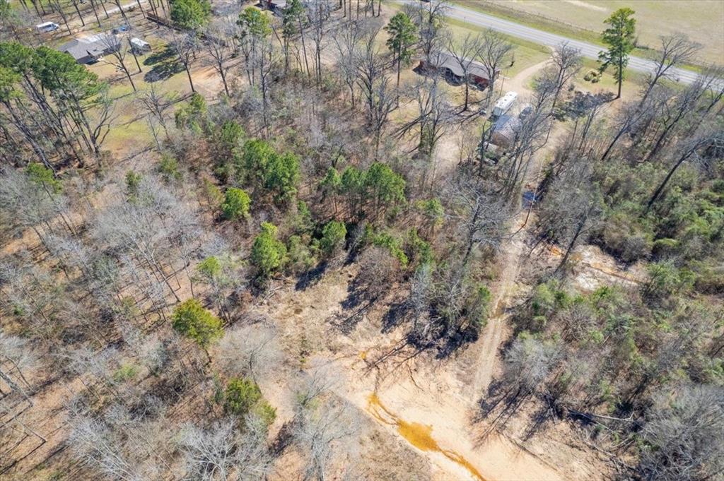 Piney Woods Estates - Land