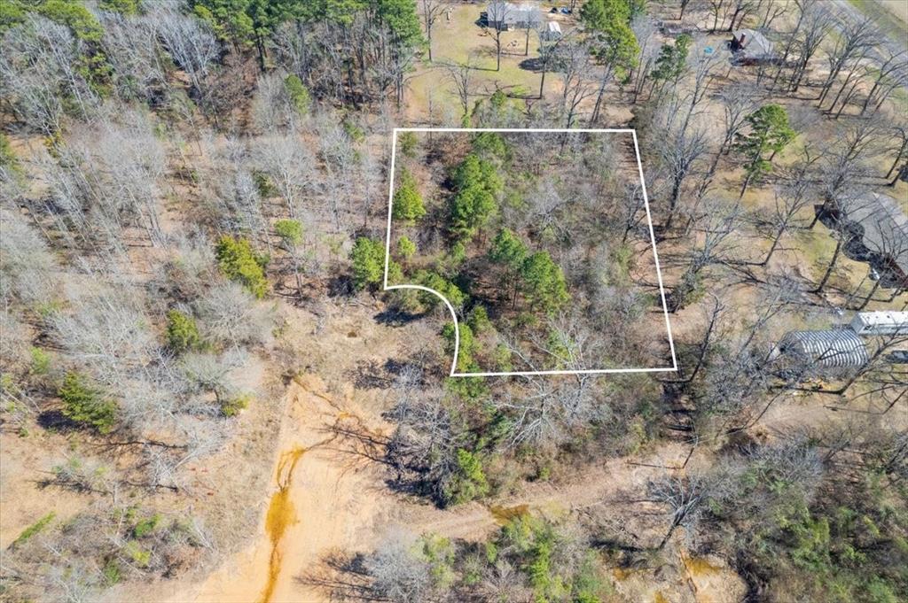 Piney Woods Estates - Land