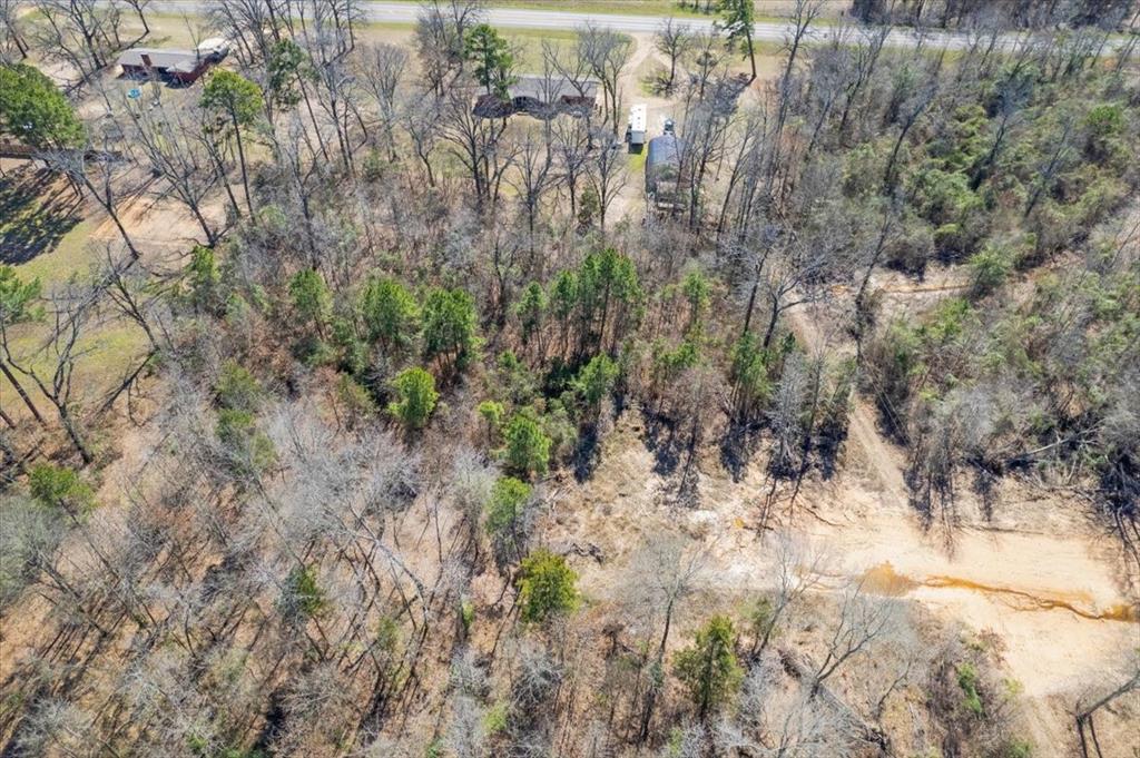 Piney Woods Estates - Land