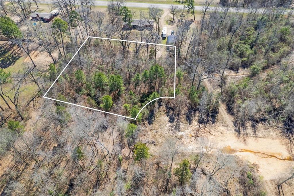 Piney Woods Estates - Land