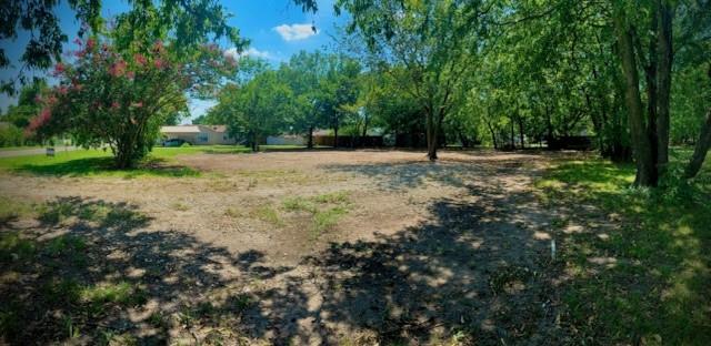 John Fizer Surv Abs # 405 - Land