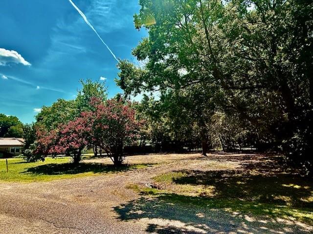 John Fizer Surv Abs # 405 - Land