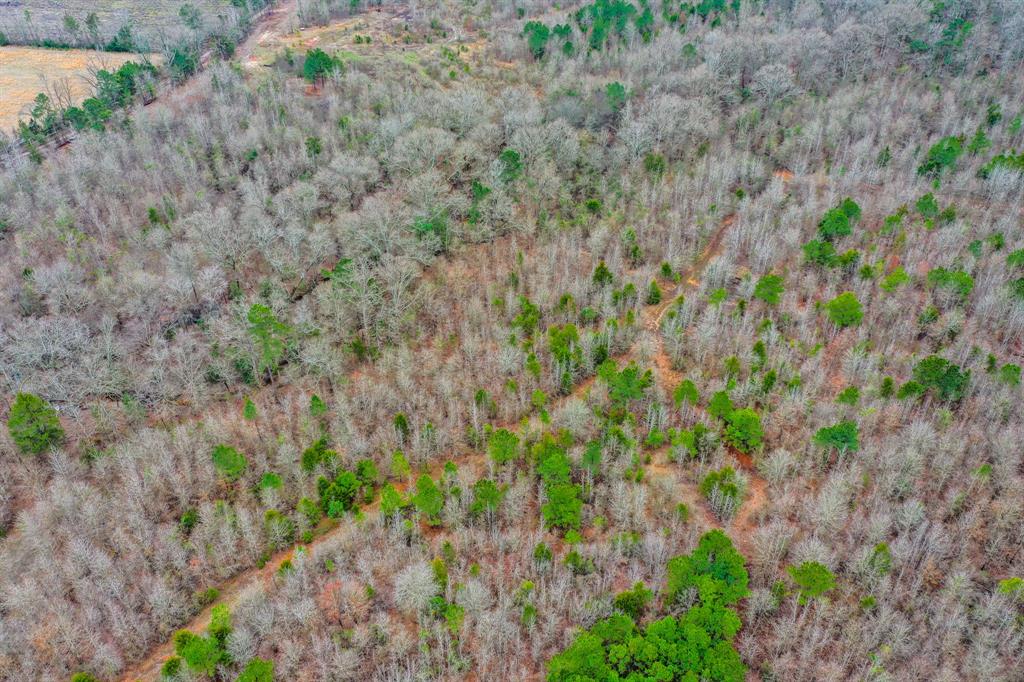 TBD Mistletoe Rd
