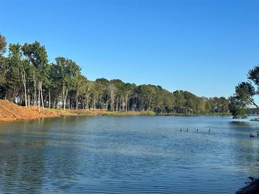 New Development. This is prime cove lot on deep water located in Lake Palestine's newest development - south side of the lake on what is known as the deep part of the lake. Multiple lots available: Waterfronts, lake views, interiors, boat house lots. Amenities include gated entrance, community lake front park, private boat ramp, lakefront trail. You will want to see this one, book your appointment today!