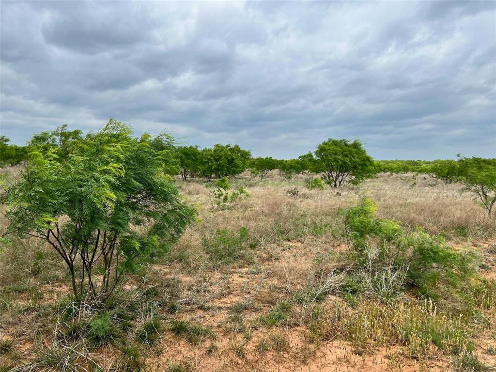 196 TBD County Road 196
