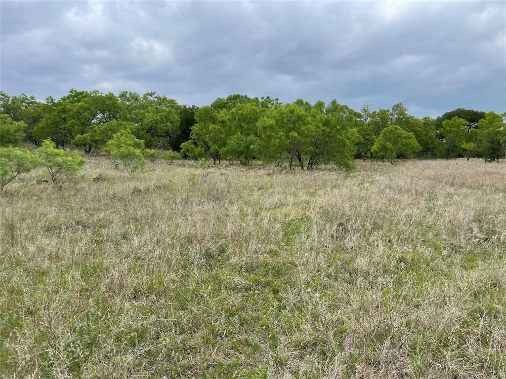 196 TBD County Road 196