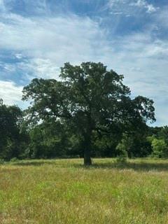 TBD (Lot 7) Barry Road