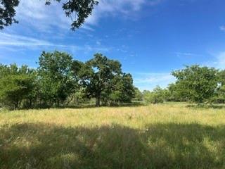 TBD (Lot 7) Barry Road