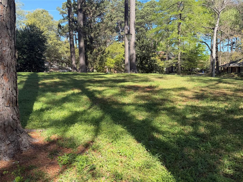 SPRING LAKE ESTATES - Land