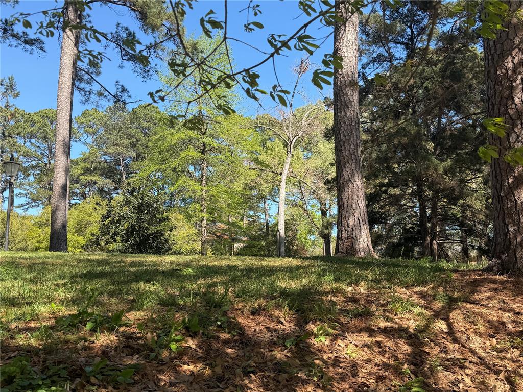 SPRING LAKE ESTATES - Land