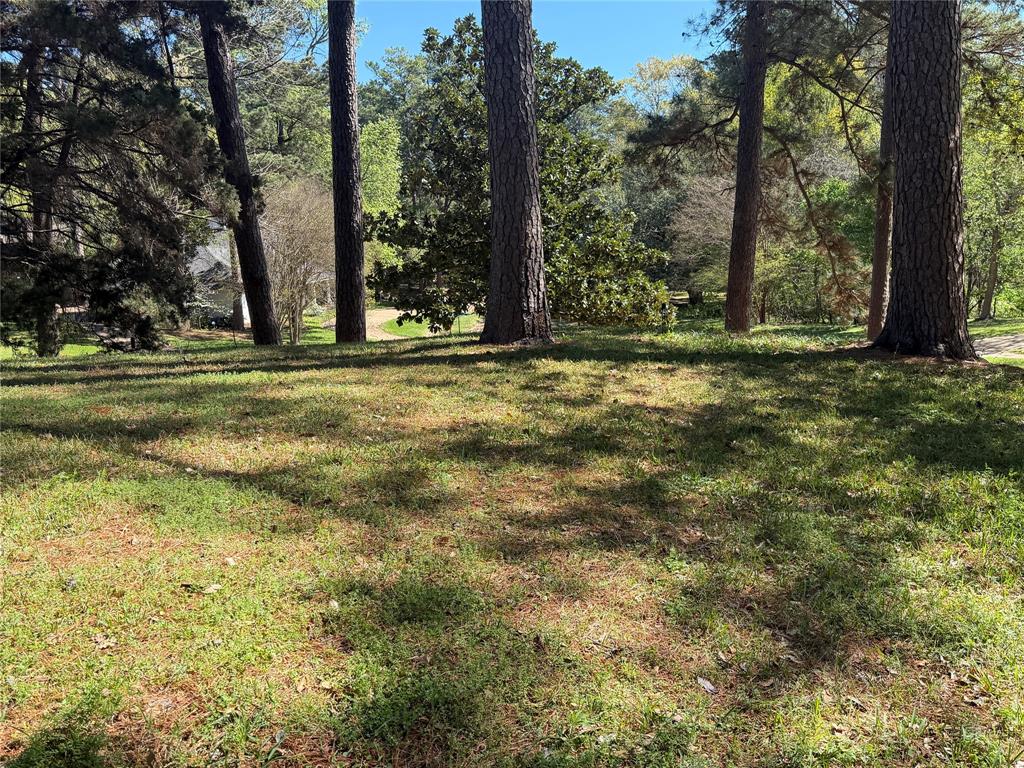 SPRING LAKE ESTATES - Land