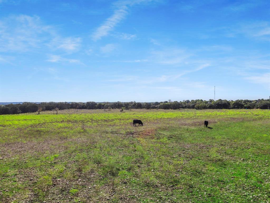 Falconer Addition - Land