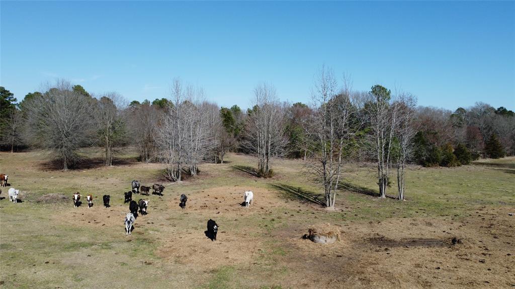 605 County Road 2100