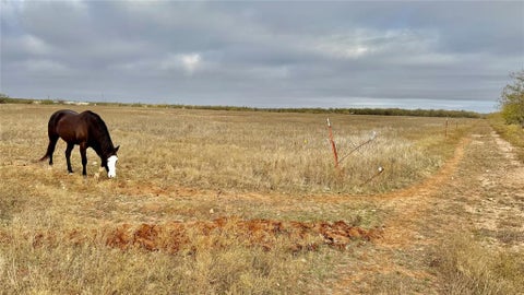 Photo of TBD Iberis Road, Abilene, TX 79606 (MLS # 21310810)