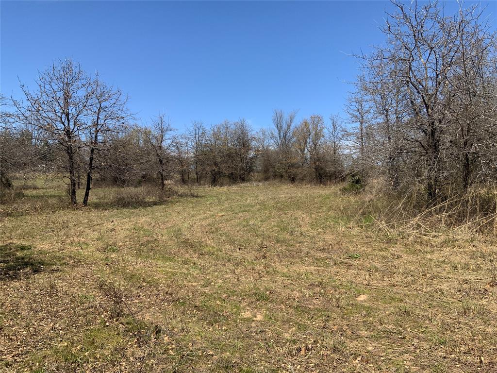 TBD Cottonwood Trail