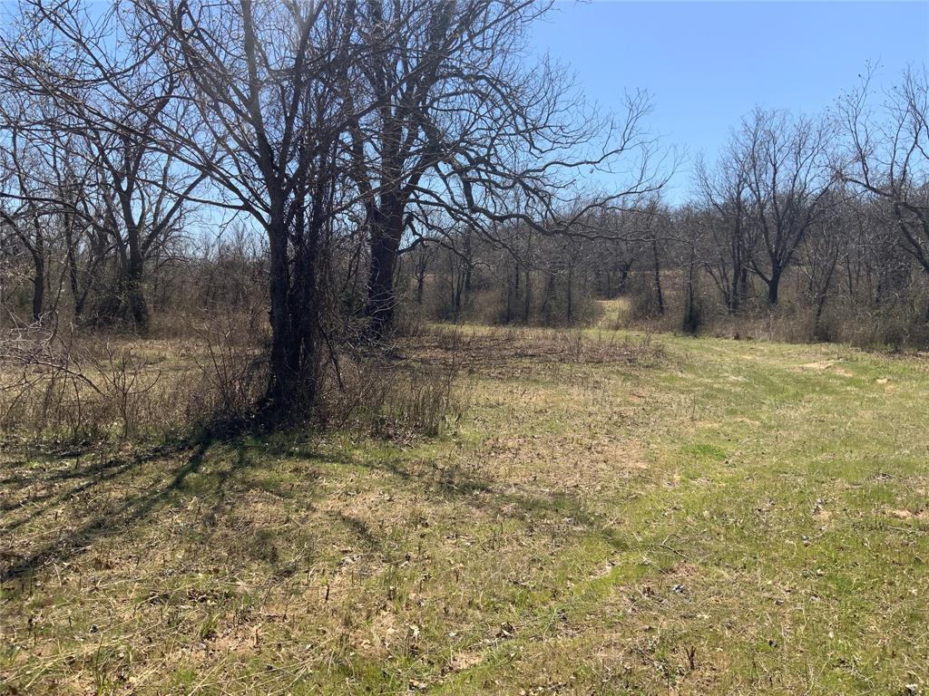 TBD Cottonwood Trail