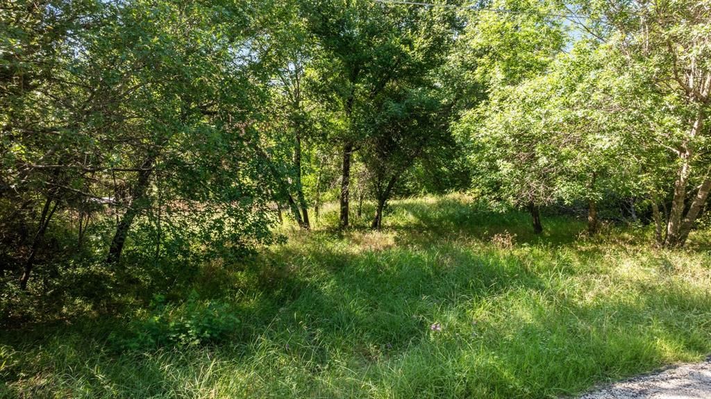 Photo of 2549 Forest Park Drive, Granbury, TX 76048 (MLS # 21215423)