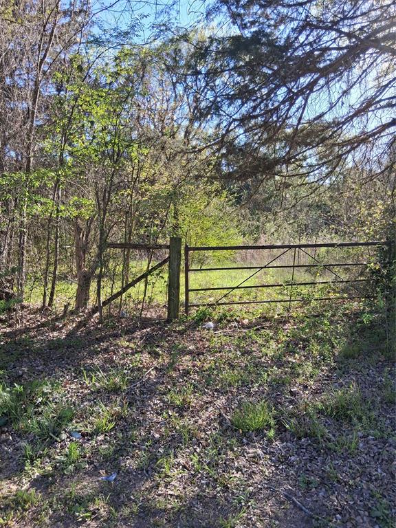 Frances Gilkerson - Land