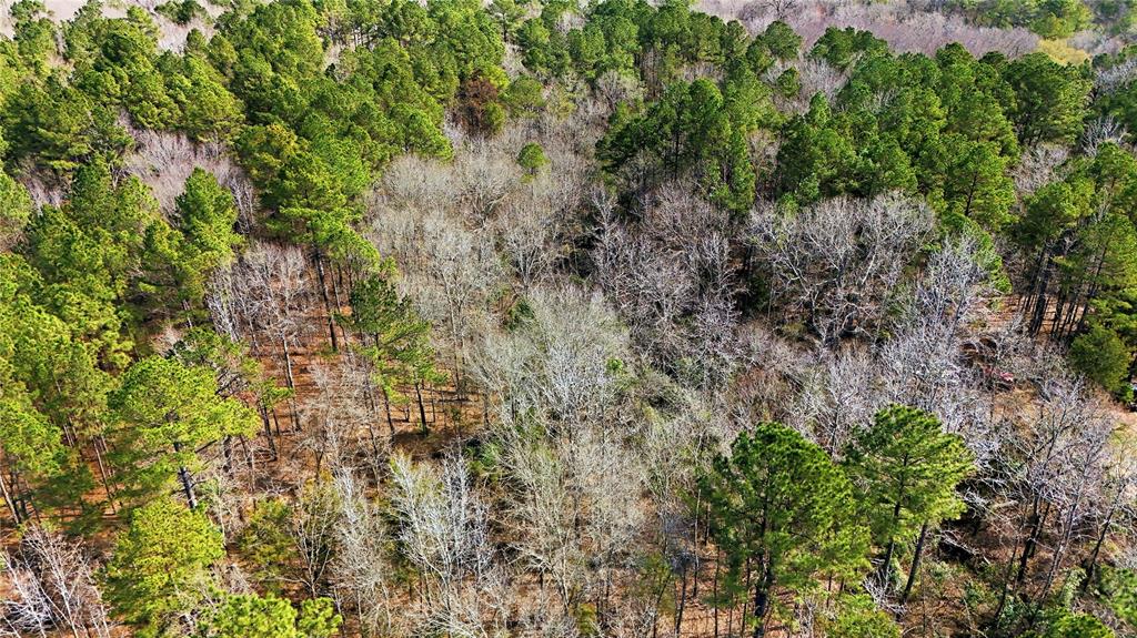 Frances Gilkerson - Land