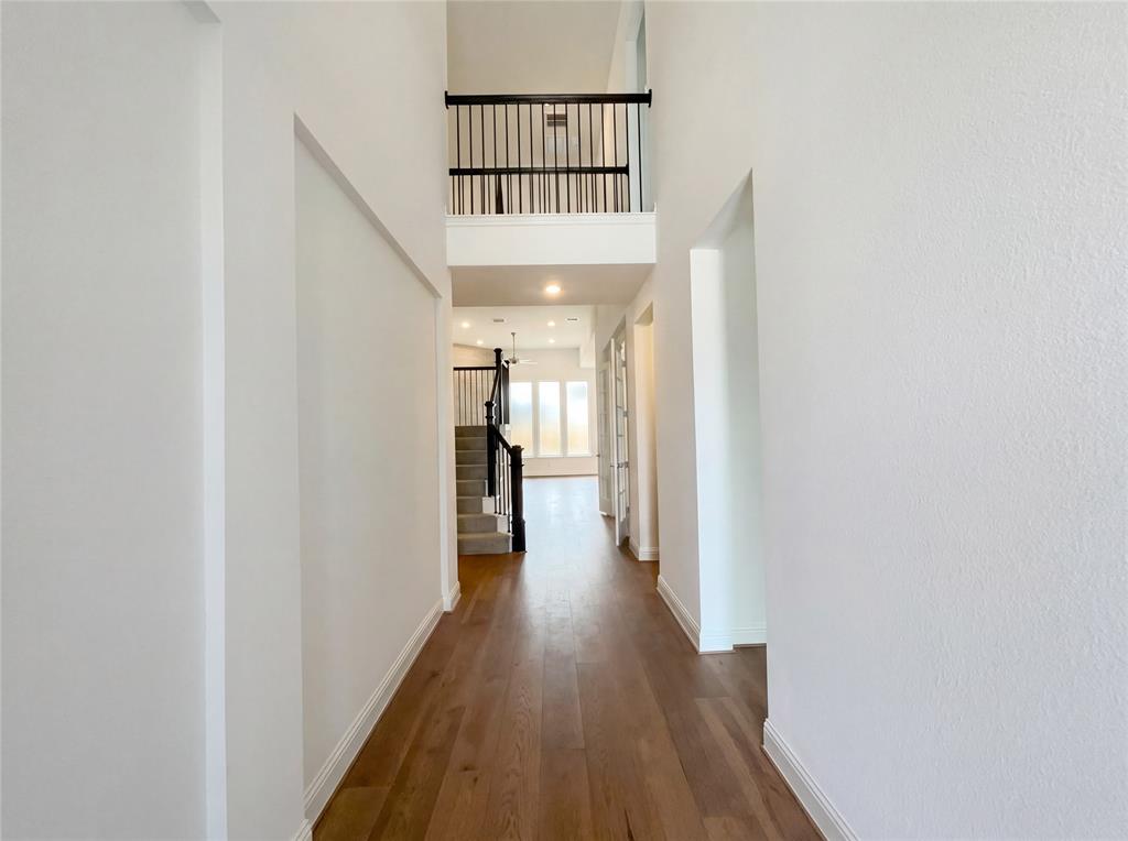 Shaded Tree Ph 2 - Residential