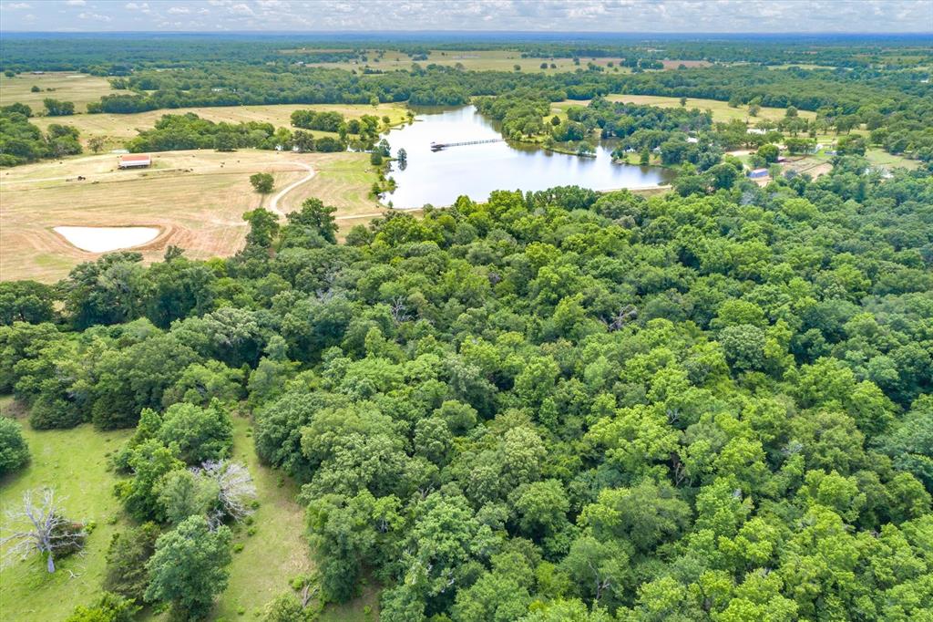 3197 State Highway 110