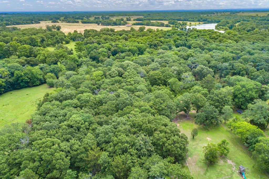 3197 State Highway 110