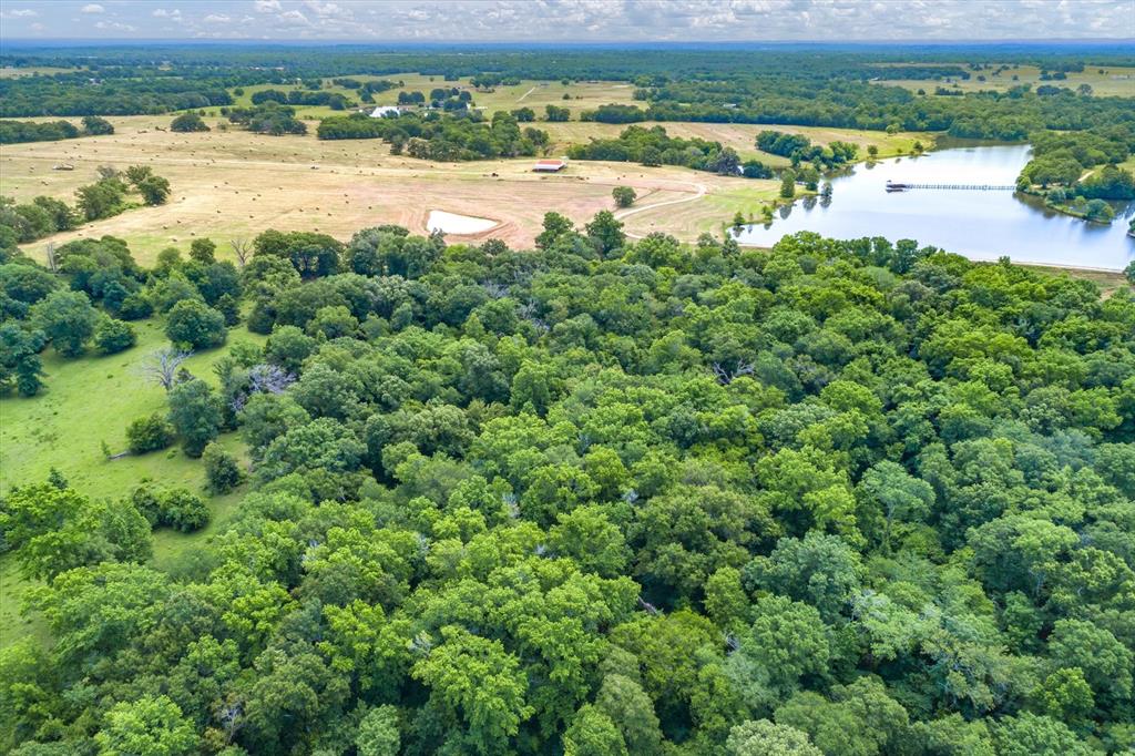 3197 State Highway 110