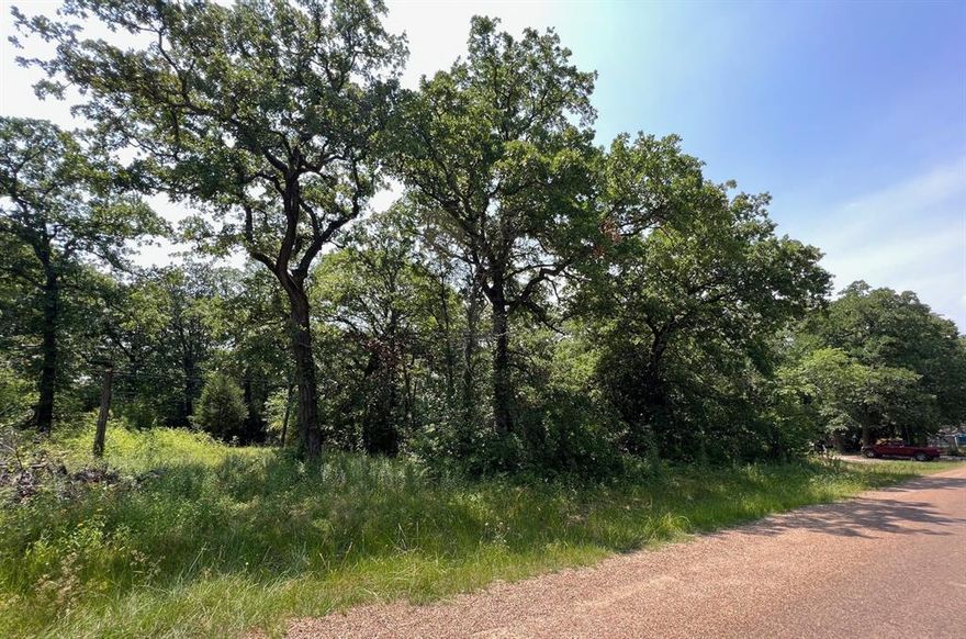 Now is your opportunity to own a great lot in the Indian Harbor community in Mabank, Texas! This 49’ x 101’ unimproved lot offers a blank canvas for your future plans. The property has not been cleared, and utilities including water, sewer and electricity will need to be obtained by the buyer. A new survey will also be required at the buyer’s expense. Priced accordingly for these improvements—don’t miss this opportunity to invest near Cedar Creek Lake.