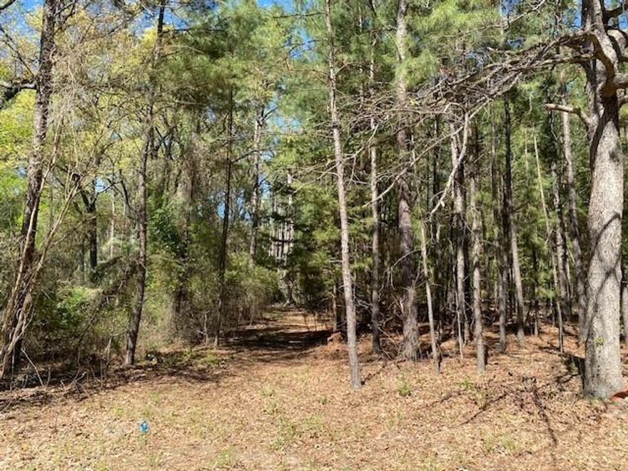 CALLENDER LAKE - Two beautiful and private wooded lots located within the Callender Lake Community. Build your dream home and enjoy the benefits of the Callender Lake Community.