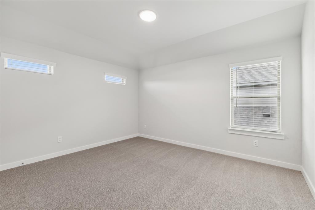 Painted Tree - Residential