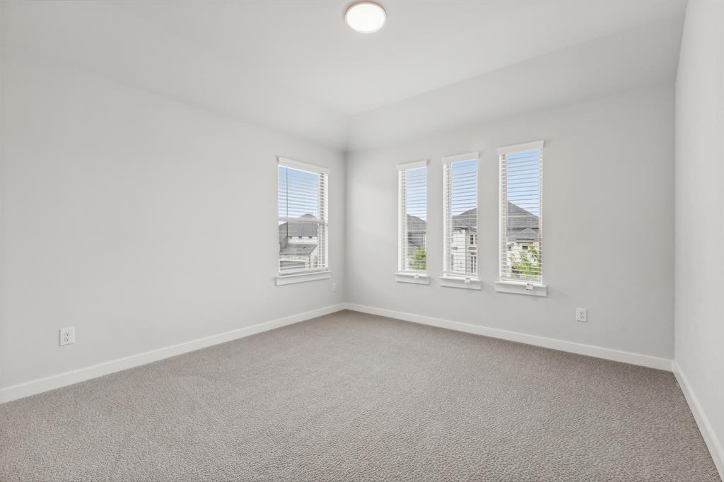 Painted Tree - Residential