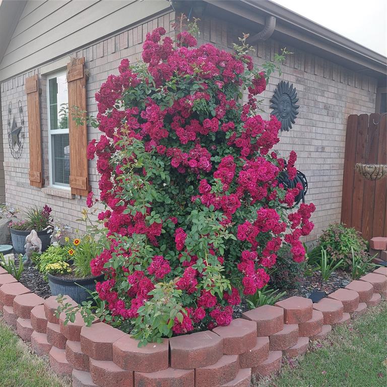 Shale Creek - Residential