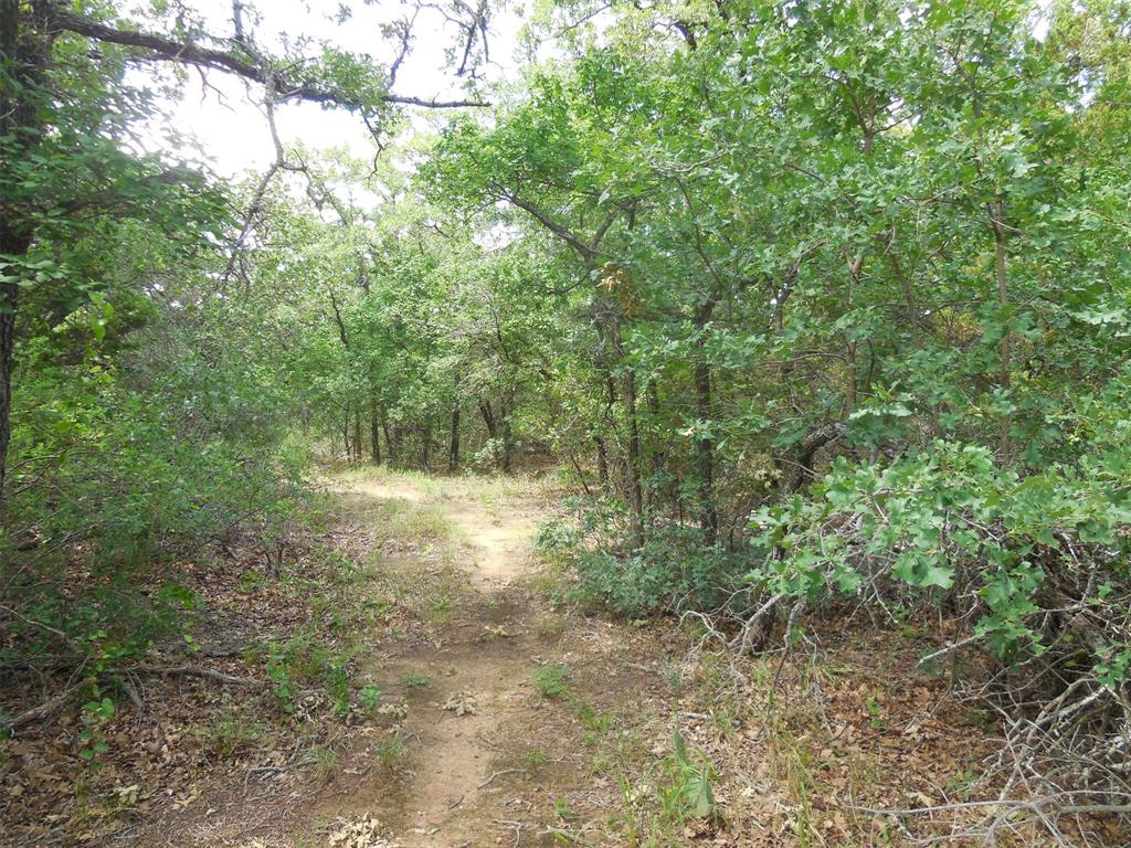 Mary Fury 127 - Land