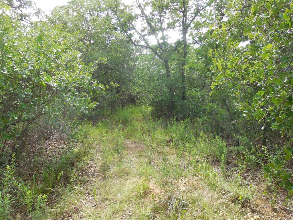 Mary Fury 127 - Land