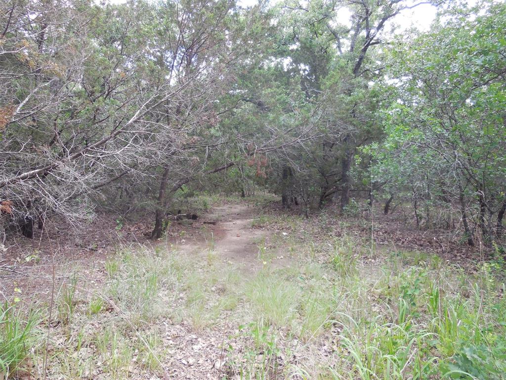 Mary Fury 127 - Land