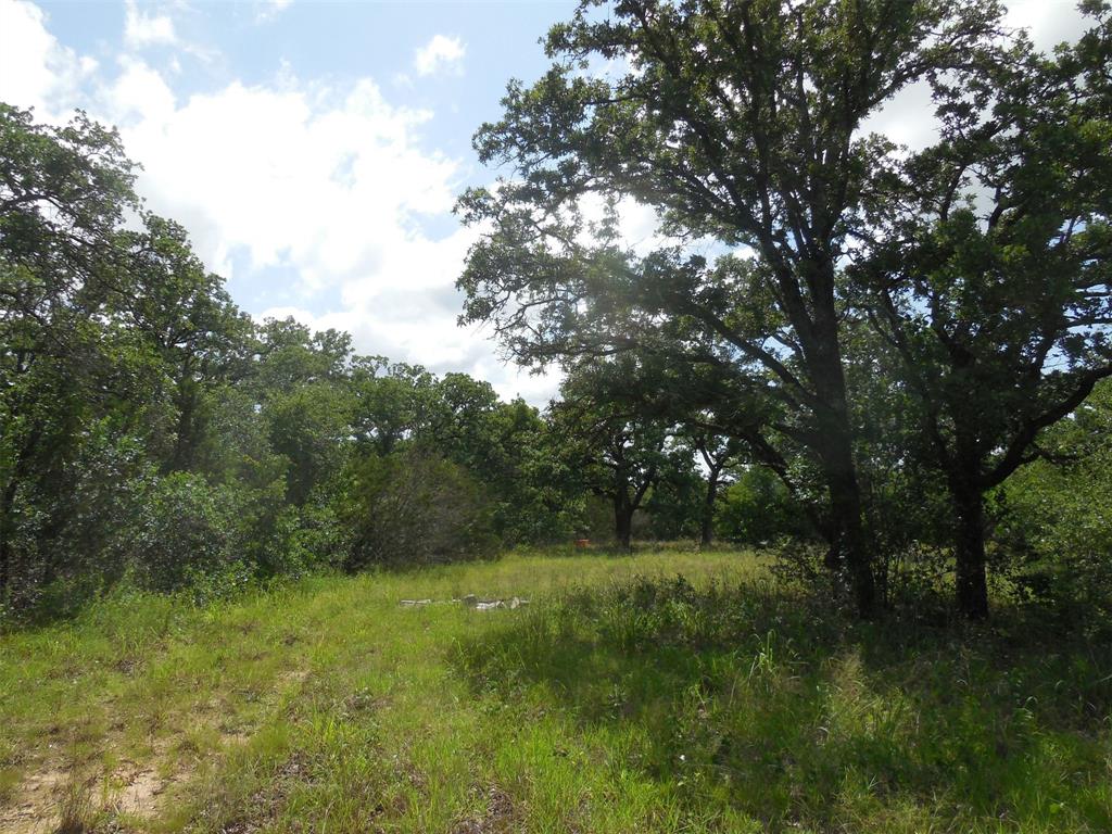 Mary Fury 127 - Land