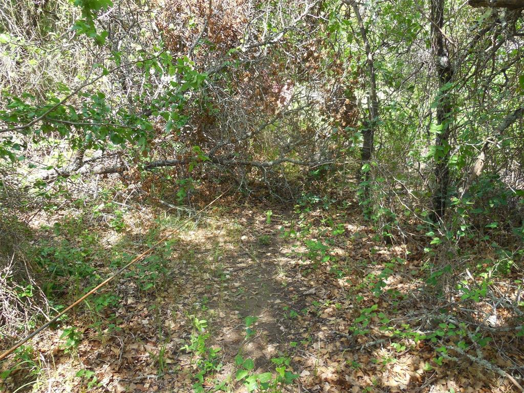 Mary Fury 127 - Land