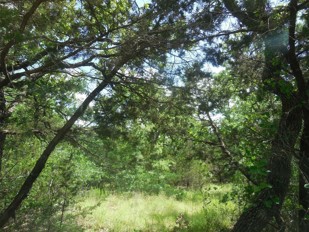 Mary Fury 127 - Land