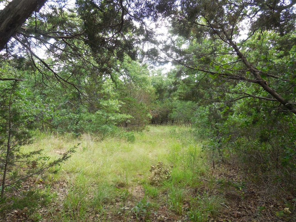 Mary Fury 127 - Land