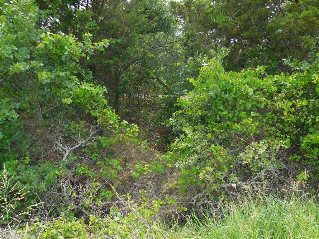 Mary Fury 127 - Land